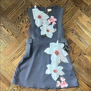 Floral Sleeveless Dress in Blue and Pink